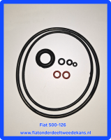 Set ringen motor en carburateur Fiat 500-126